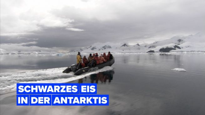 go to Die Antarktis färbt sich schwarz