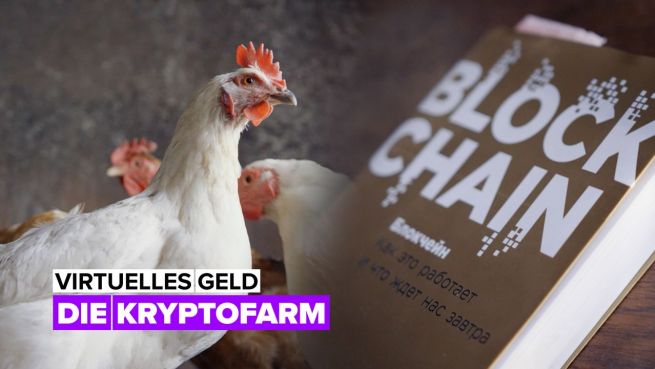 go to Virtuelles Geld: die Kryptofarm