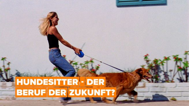 go to Ein Job, der stark im Trend liegt