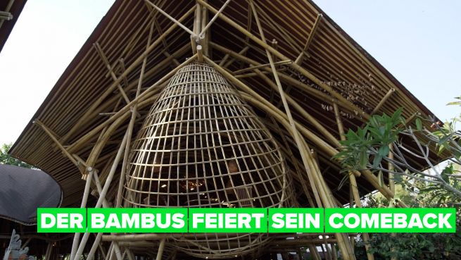 go to Grüne Helden: widerstandsfähige Gebäude aus Bambus