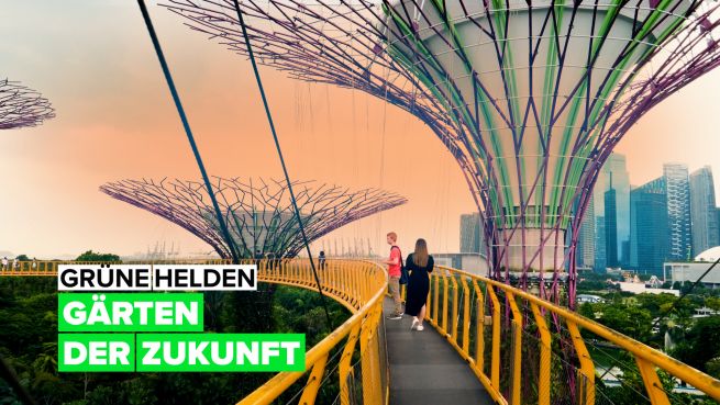 go to Grüne Helden: Garten der Zukunft