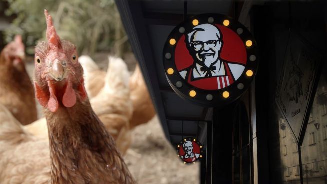 go to Beyond Meat: KFC testet fleischlose Chicken Wings