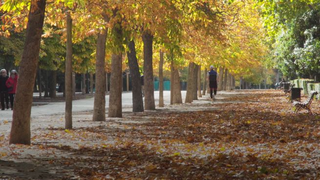 go to So schön ist der Herbst… in Madrid