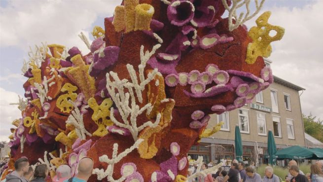 go to Das ist die größte Blumenparade der Welt