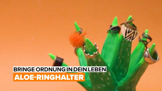 go to Bringe Ordnung in dein Leben: Aloe-Ringhalter