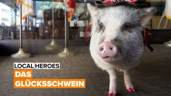 go to Local Heroes: Lilou, das Therapieschwein