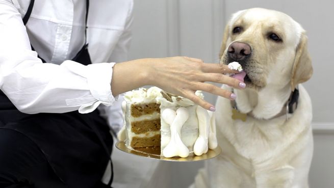go to Carrot Cake für deinen Liebsten