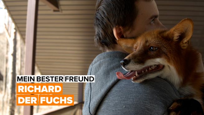 go to Mein bester Freund: ein Fuchs