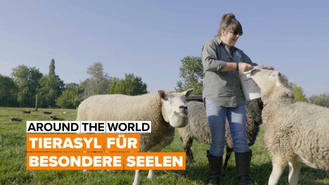 go to Around the world: die Farm für besondere Tiere