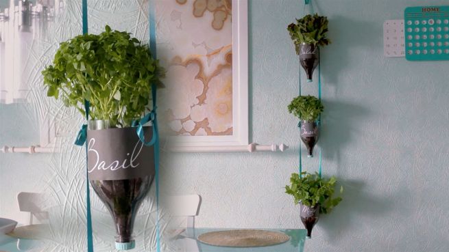 go to DIY Kräutergarten