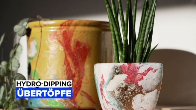 go to Hydro-Dipping: Übertöpfe