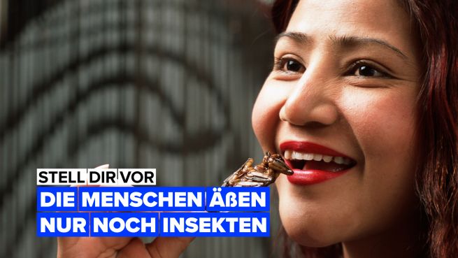 go to Stell dir vor, die Menschen würden sich ausschließlich von Insekten ernähren