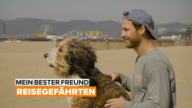 go to Mein Hund ist mein Seelenverwandter