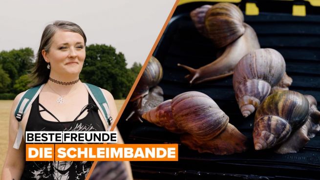 go to Beste Freunde: die Schleimbande