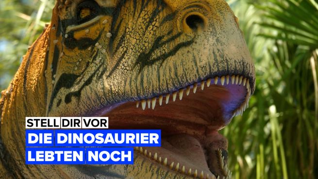 go to Stell dir vor, dass die Dinosaurier noch lebten