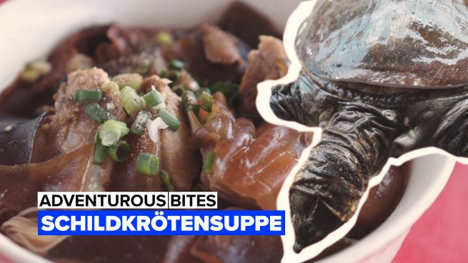 go to Adventurous bites: Schildkrötensuppe