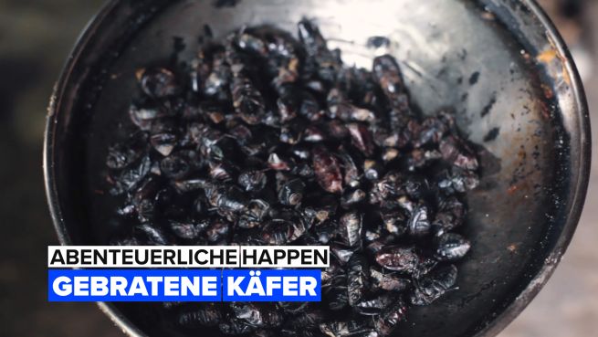 go to Abenteuerliche Happen: Käfer