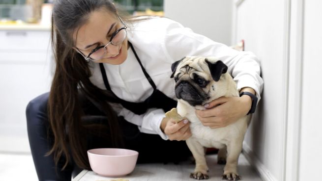 go to Hundekekse für deinen Liebsten