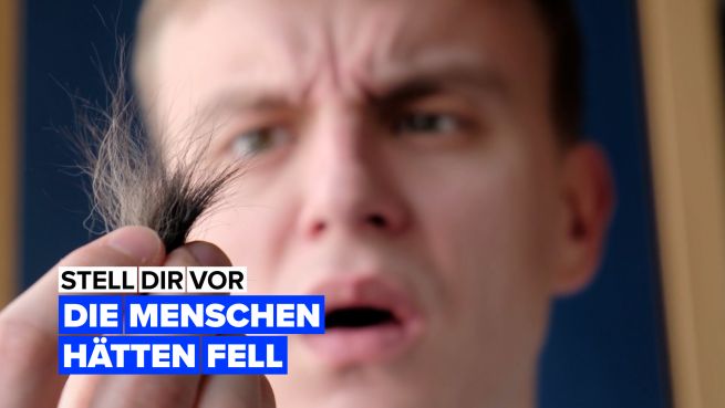 go to Stell dir vor, wir Menschen hätten ein Fell.