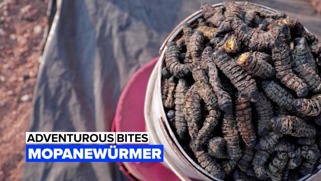 go to Adventurous bite: Mopanewürmer