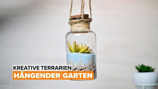 go to Kreative Terrarien: hängender Garten