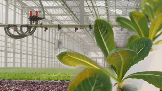 go to Wie wir unsere Ernährung bis 2050 umstellen sollten